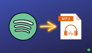 Best FREE Spotify to MP3 Converter 1