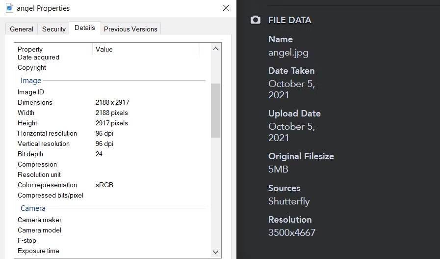 Explanations | Shutterfly 7 | 12w8ifAgl2L3HRfSXzMriwA DzTechs