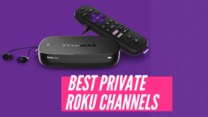 Best Private Roku Channels Featured 696x392 min DzTechs