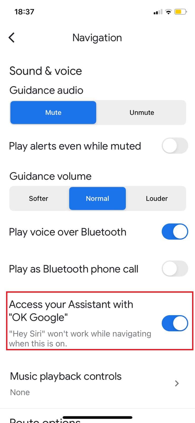 Turn the toggle on for Access your Assistant with OK Google | How to Change Voice in Google Maps