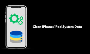 Clear iPhone iPad System Data