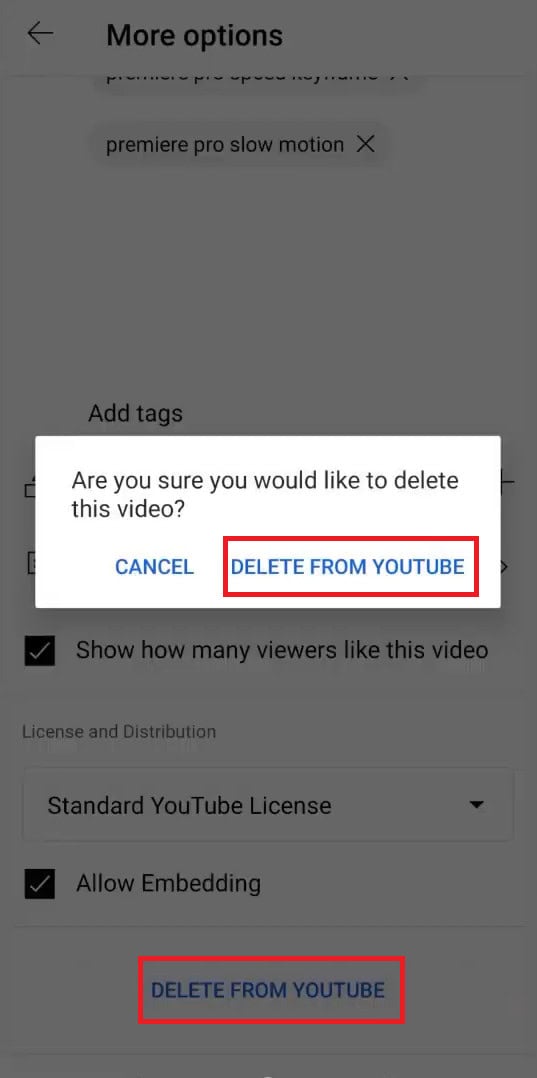 Select DELETE FROM YOUTUBE 