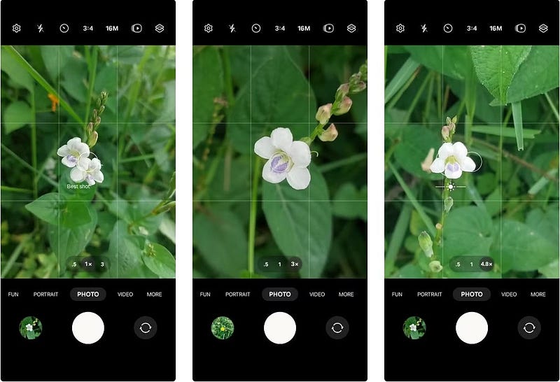 How to choose between zooming in or getting closer to your subject to get the best photos with your smartphone - 1bQrPqUFkDxYO3vsT7lu1FA DzTechs | Photography