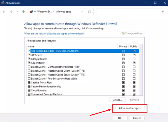 Allow Another App in Firewall