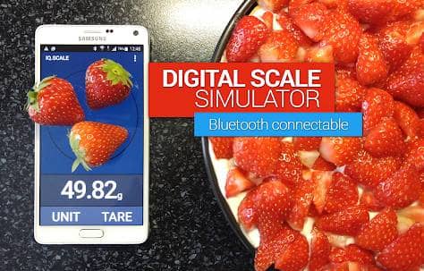 Digital Scale Simulator Adfree