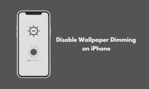 Disable Wallpaper Dimming on iPhone