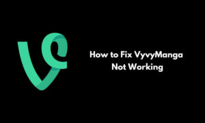 How to Fix VyvyManga Not Working