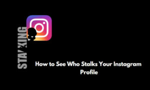 how to see who stalks your Instagram